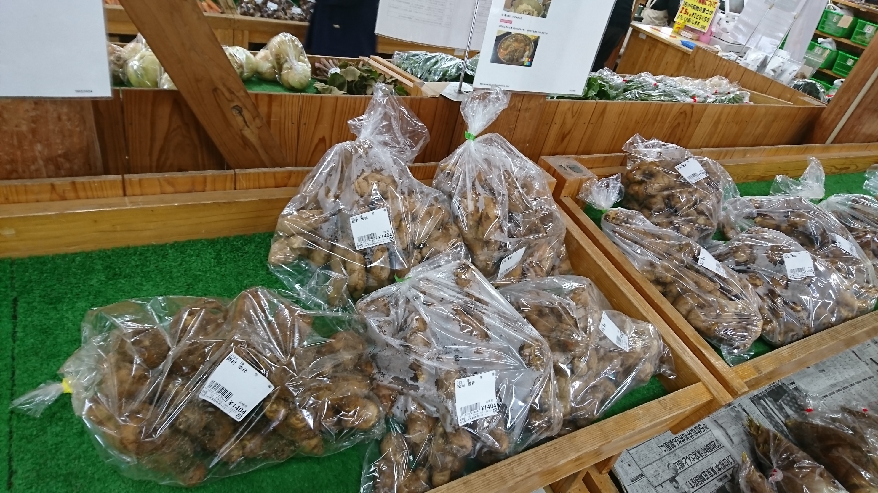 種生姜、出荷が始まりました。 | 東陽交流センター せせらぎ