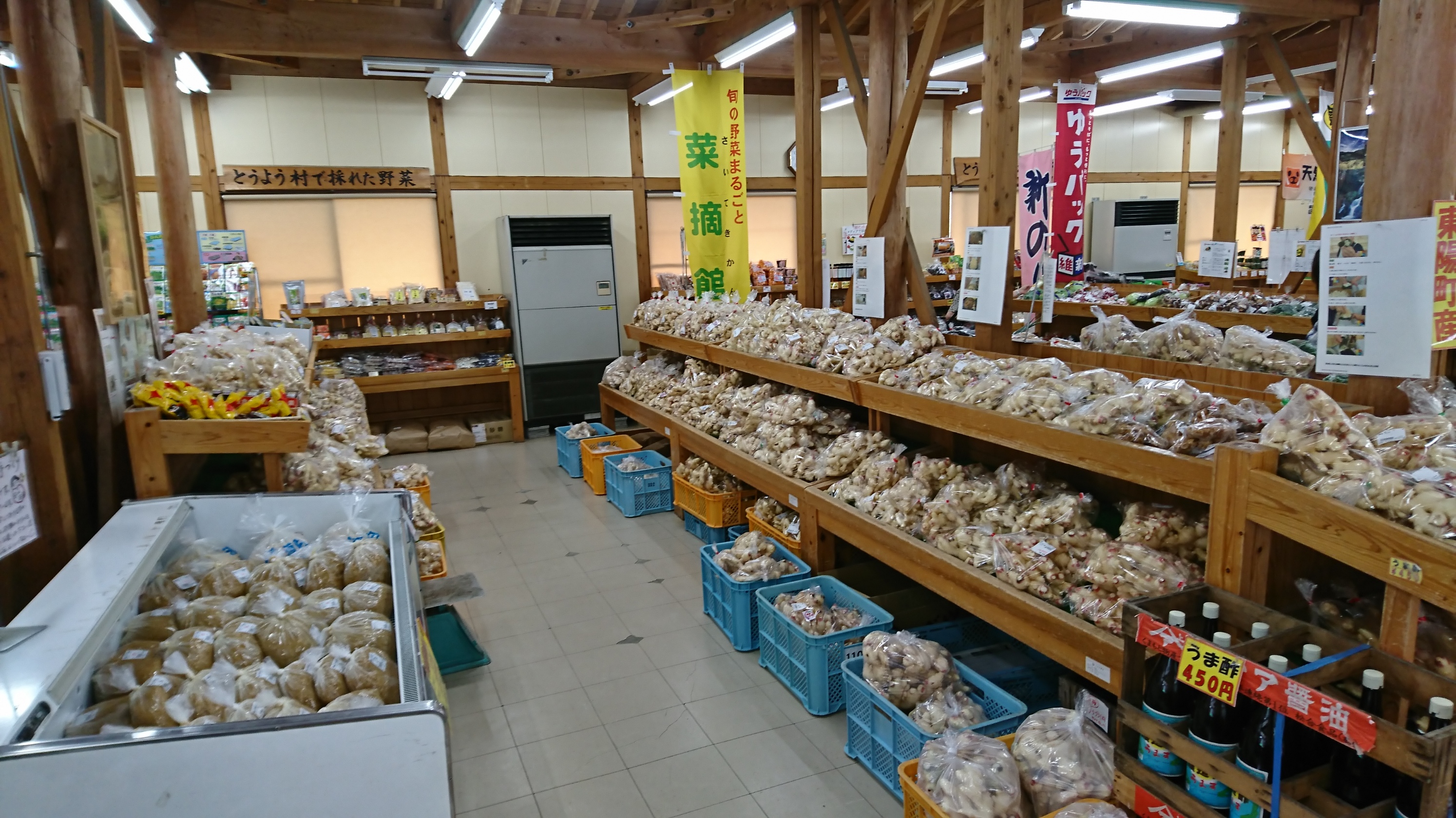 【中古】 信心三昧 陽気ぐらしの道/善本社/北村光 豊田道倫『午前三時のサーチライト』刊行記念トーク＆ミニライブ